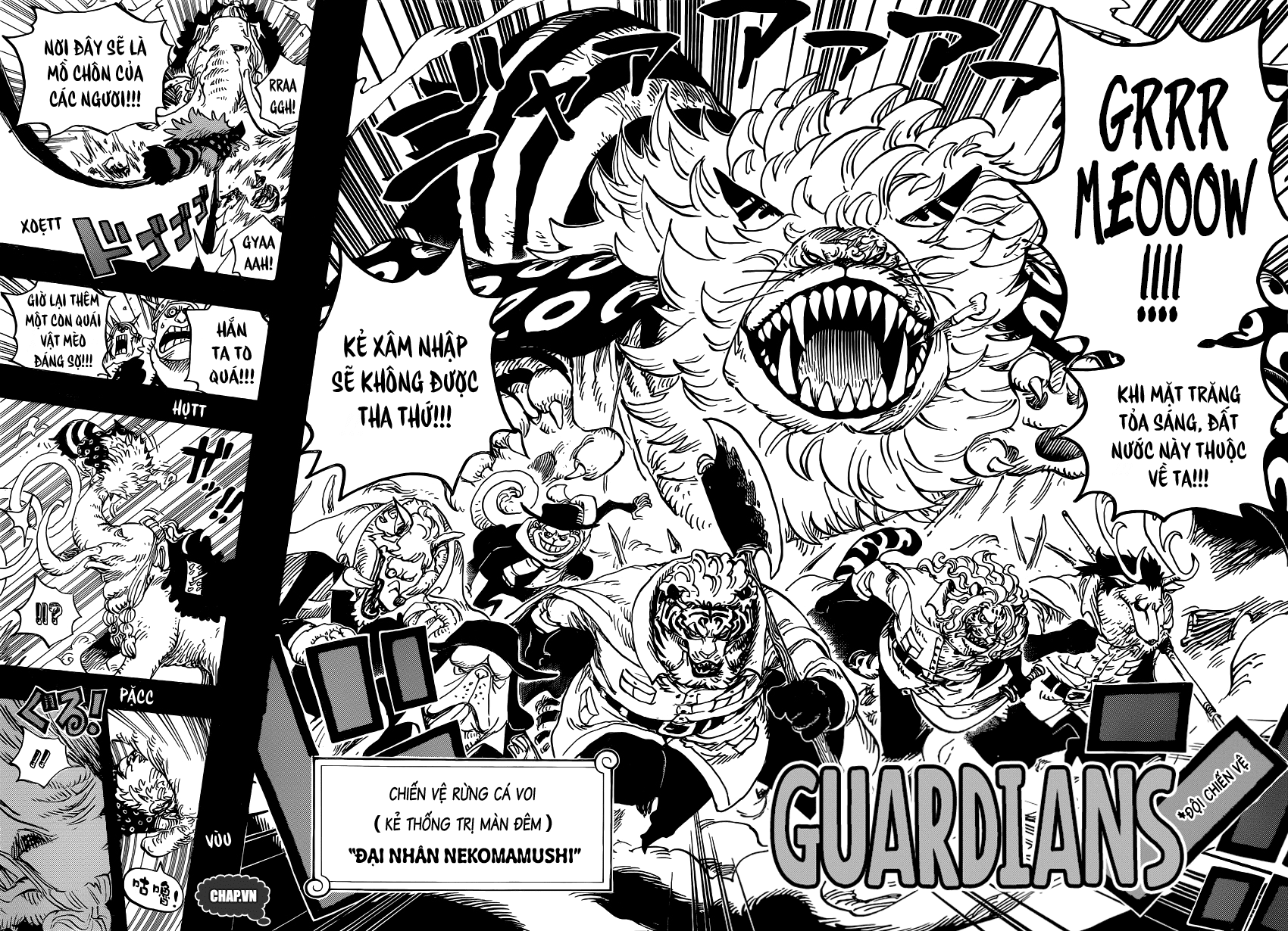 One Piece Chapter 809 - Trang 15