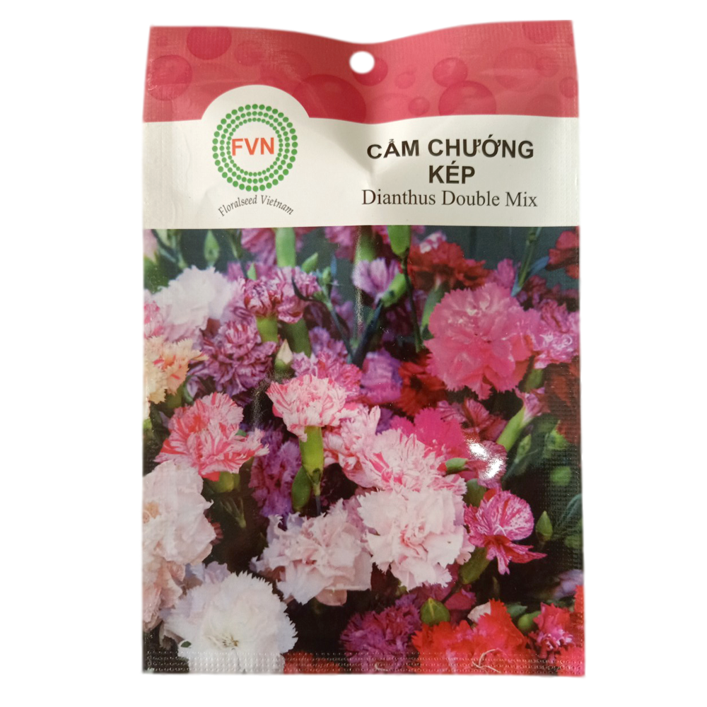 Hạt giống hoa cẩm chướng kép FVN - Gói 5 hạt