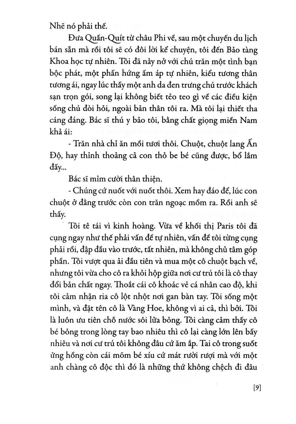 Quấn Quít