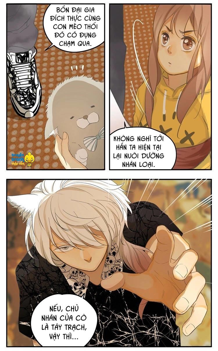 cứu mạng ! loài mèo thống trị thế giới rồi ! chapter 20 6