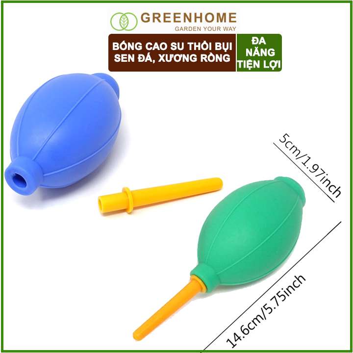 Bóng Cao Su Thổi Bụi GreenHome, D15xr5cm, Dụng Cụ Làm Vườn, Làm Sạch Cây Sen Đá, Bonsai, Màu Sắc Ngẫu Nhiên