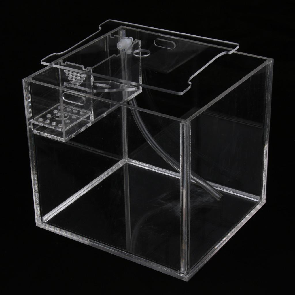 Tropical Betta Mini Tank Arcylic Aquarium Small Tank