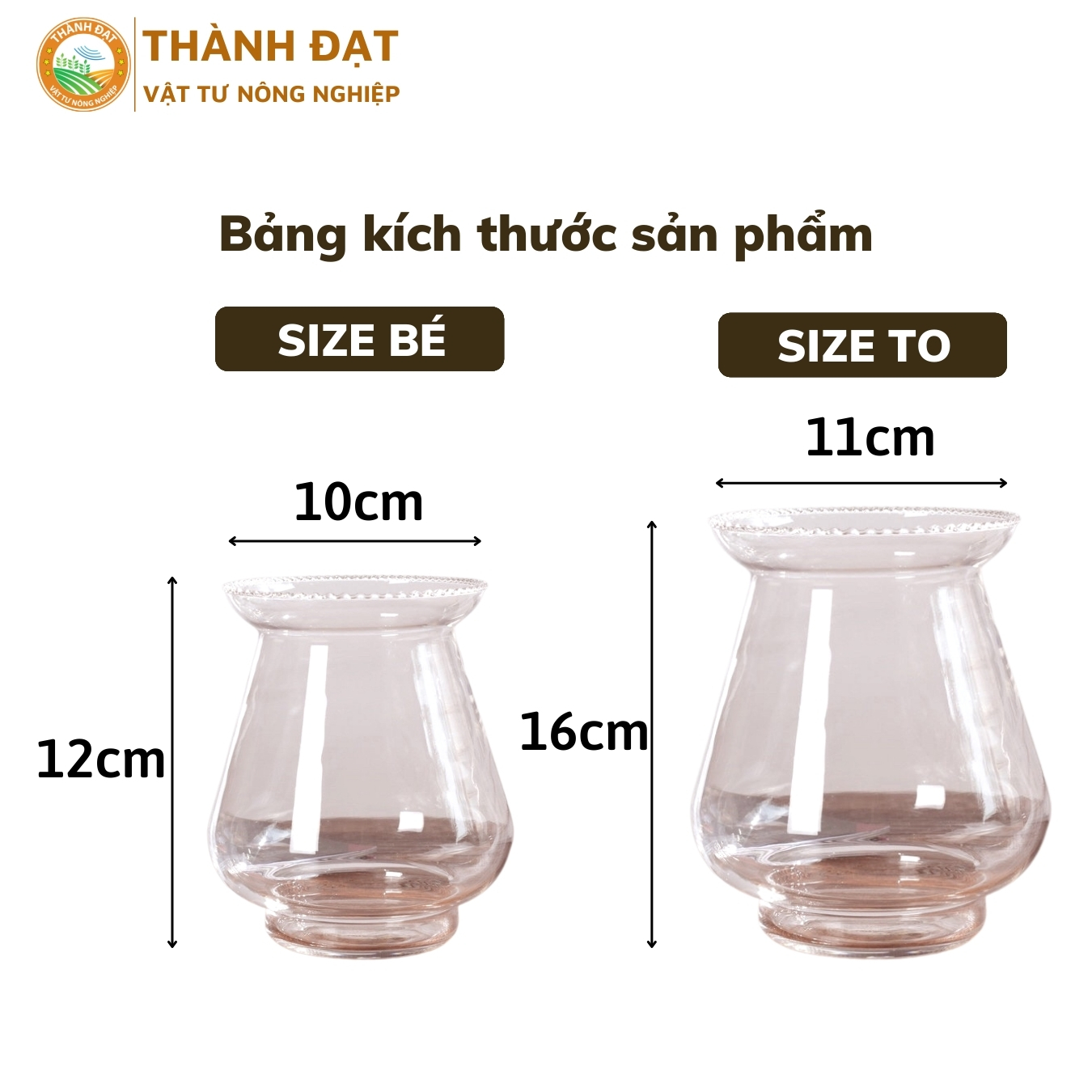 Bình thuỷ tinh cao cấp miệng loe kèm giá đỡ trồng cây thuỷ sinh, cắm hoa, nuôi cá