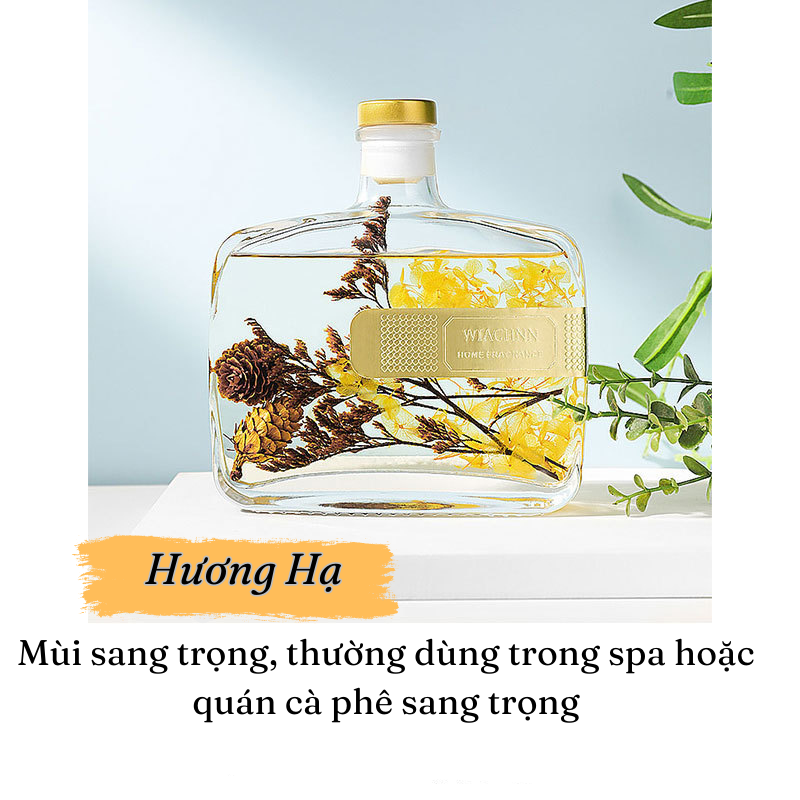 Tinh Dầu Thơm Phòng khuếch tán cắm que bản mới 200ml Hương Liệu Thiên Nhiên Tự Khuếch Tán khử mùi không khí