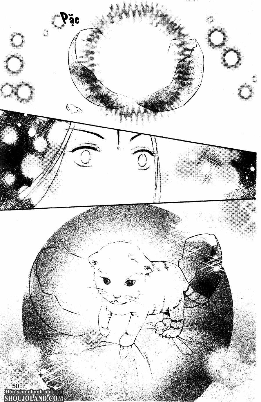 trứng như ý chapter 1 48