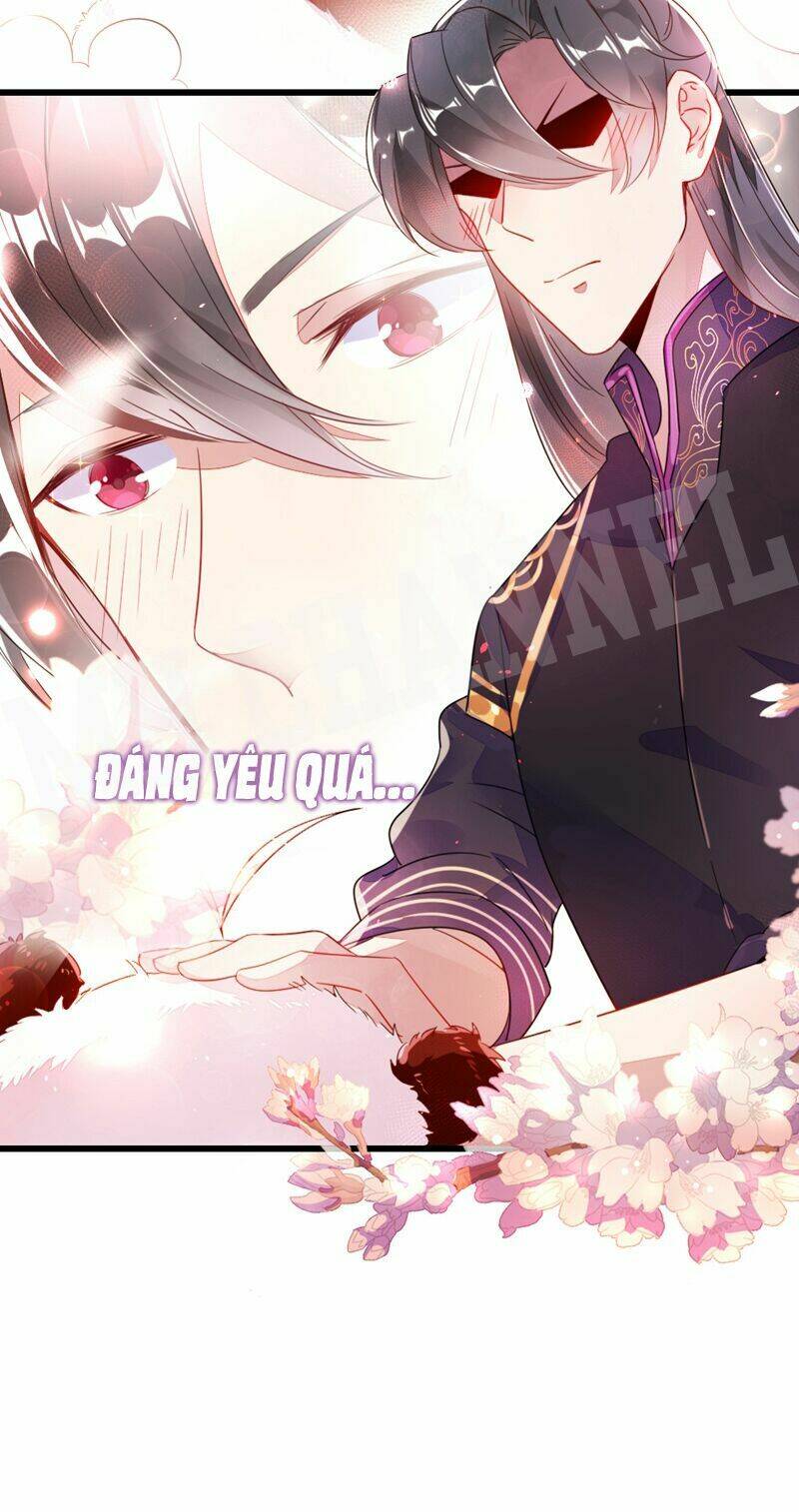 thiên thần gấu trúc muốn được ôm chapter 13 21