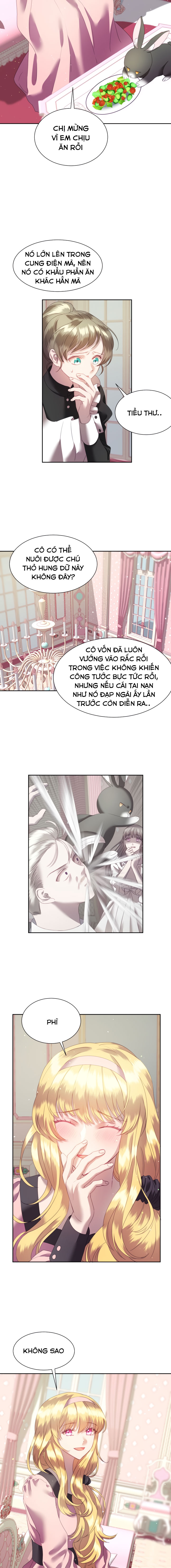 công chúa giả mạo và chú thỏ con chapter 4 3