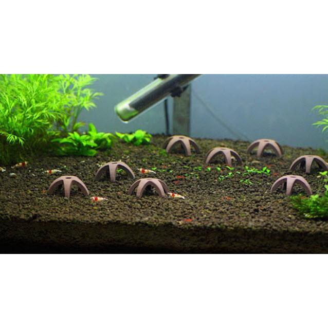 Đồ Chơi Tép Hình Sao 5 Cánh
