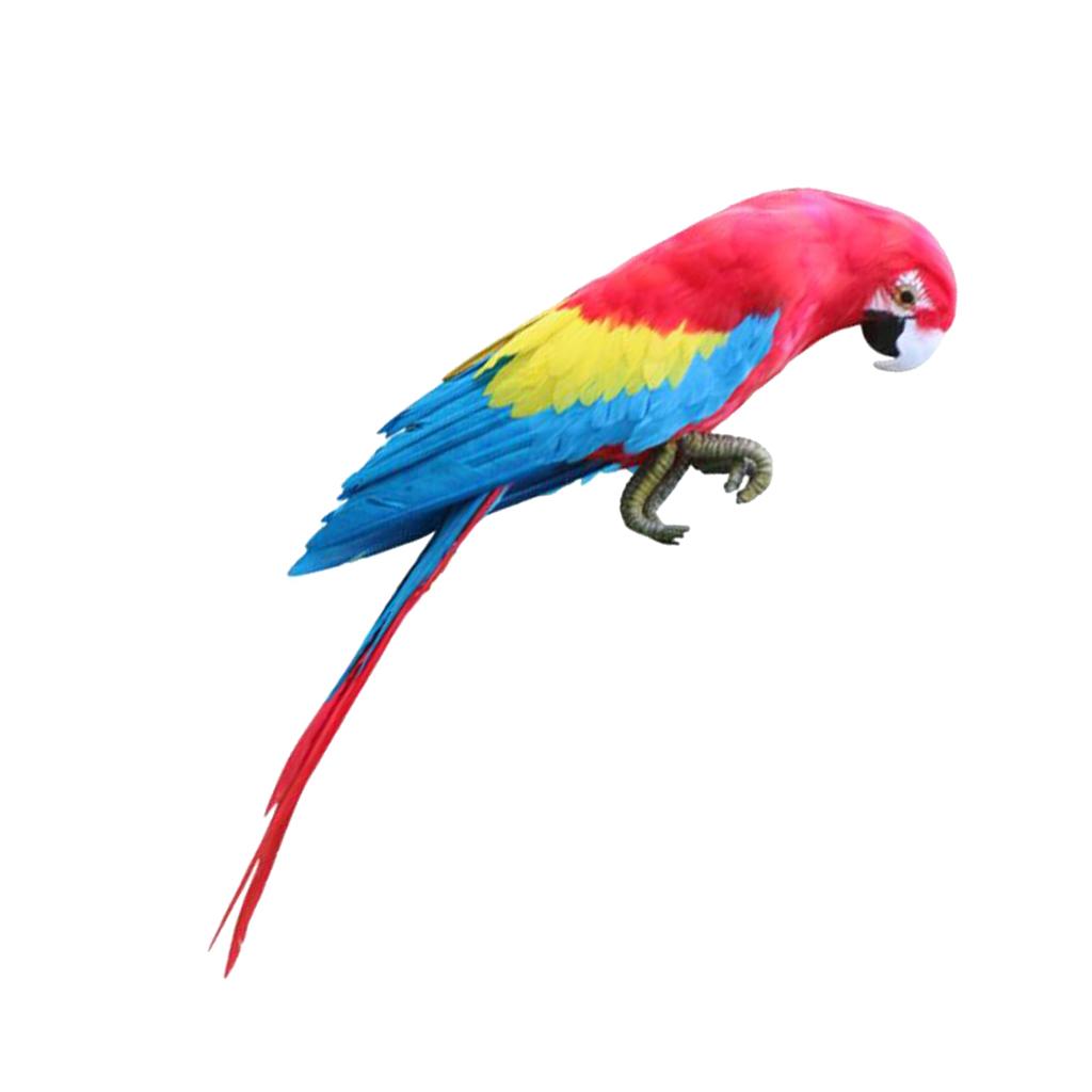 Parrot Ornament Feathered Bird Animal Figurine Garden Lawn Yard Tree Decor