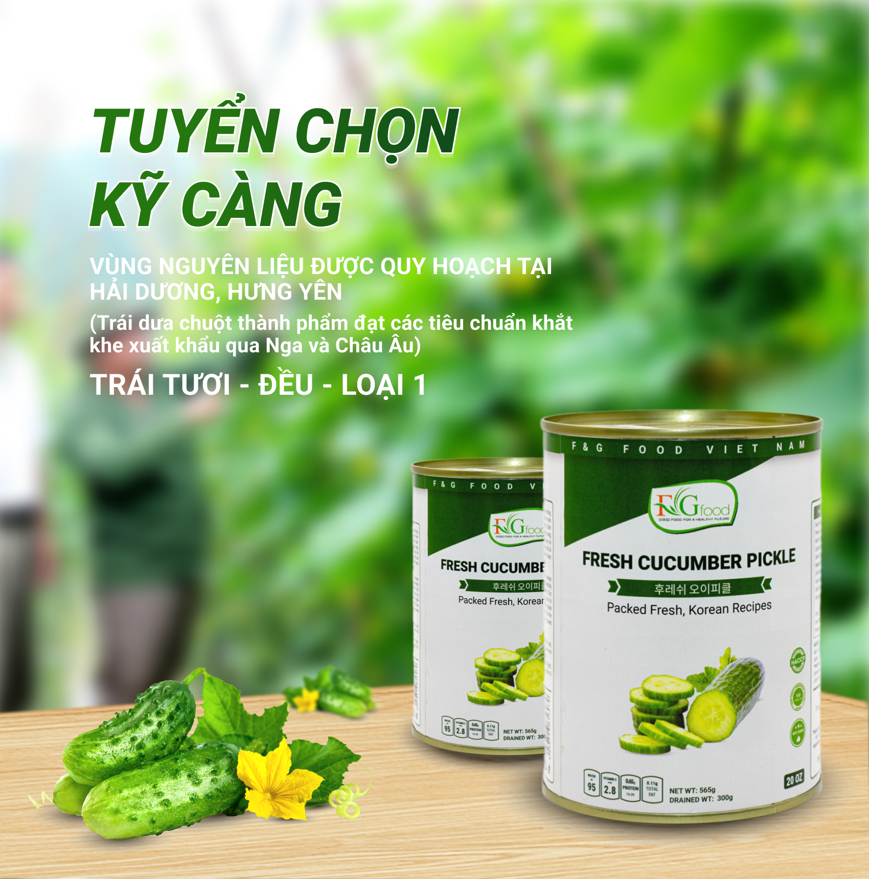 Dưa Chuột Bao Tử Cắt Lát Ngâm F&amp;G Food , Lon 565gr Ăn Kèm Thịt Nướng, Làm Gỏi Trộn