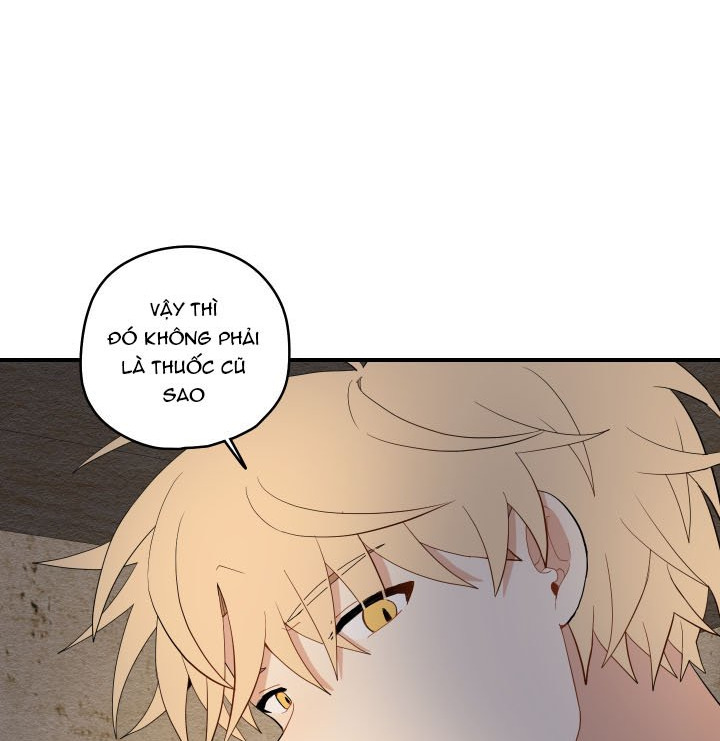 đường hoa liên kiều rơi chapter 24 12