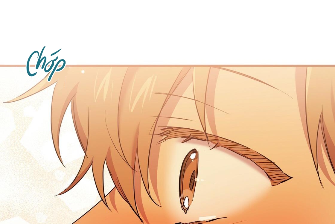 đàn thỏ của habibi chapter 24 94