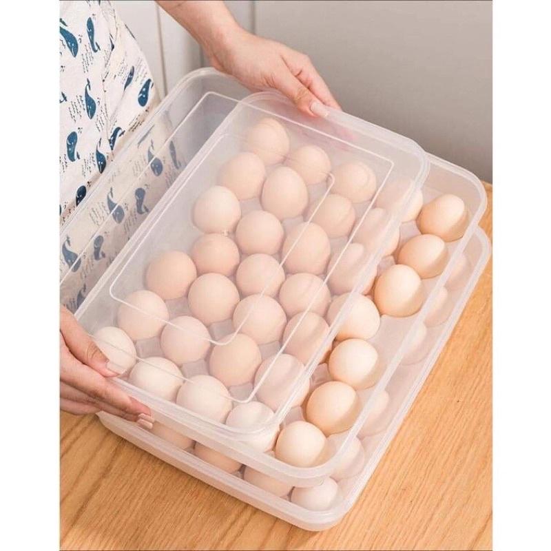 Khay Nhựa Đựng Trứng 24 Quả Cao Cấp