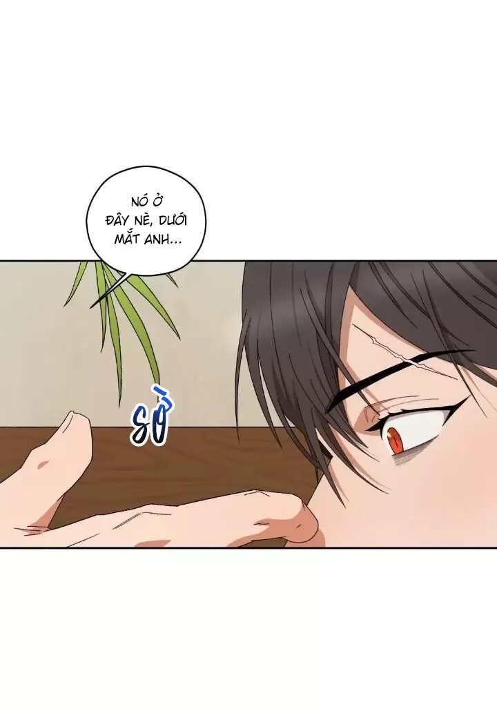 liveta chapter 39 55