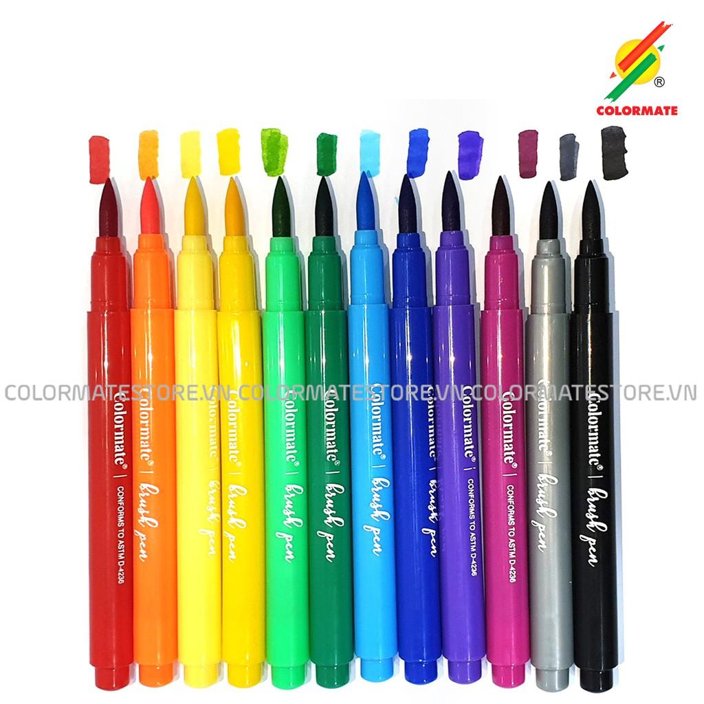 Bút cọ màu nước Colormate Brush Pen, màu nước dạng bút dễ dàng sử dụng bộ 12 bút màu - COLORMATE