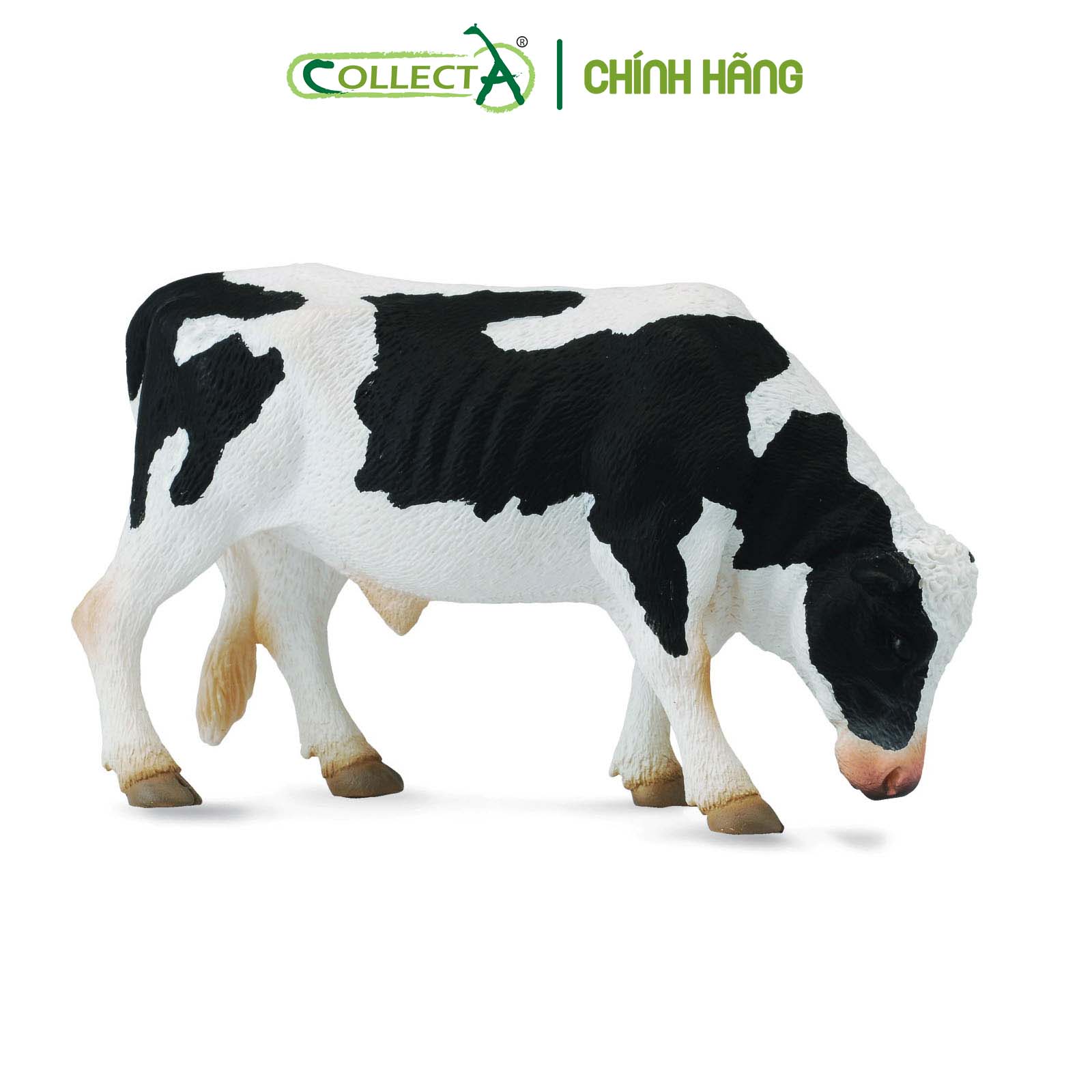 Mô hình thu nhỏ: Bò Hà Lan bố - Friesian Bull  , hiệu: CollectA, mã HS 9650060[88482] -  Chất liệu an toàn cho trẻ - Hàng chính hãng