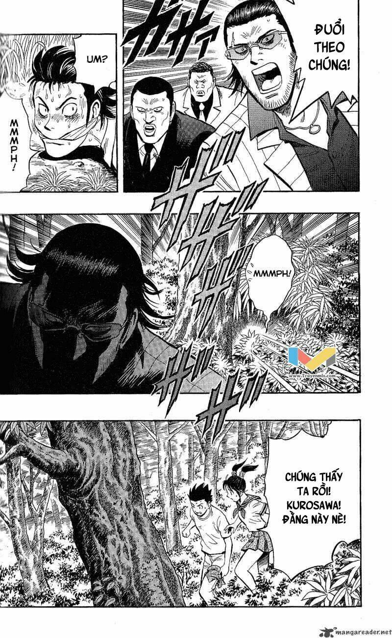 animal sense chapter 11 27