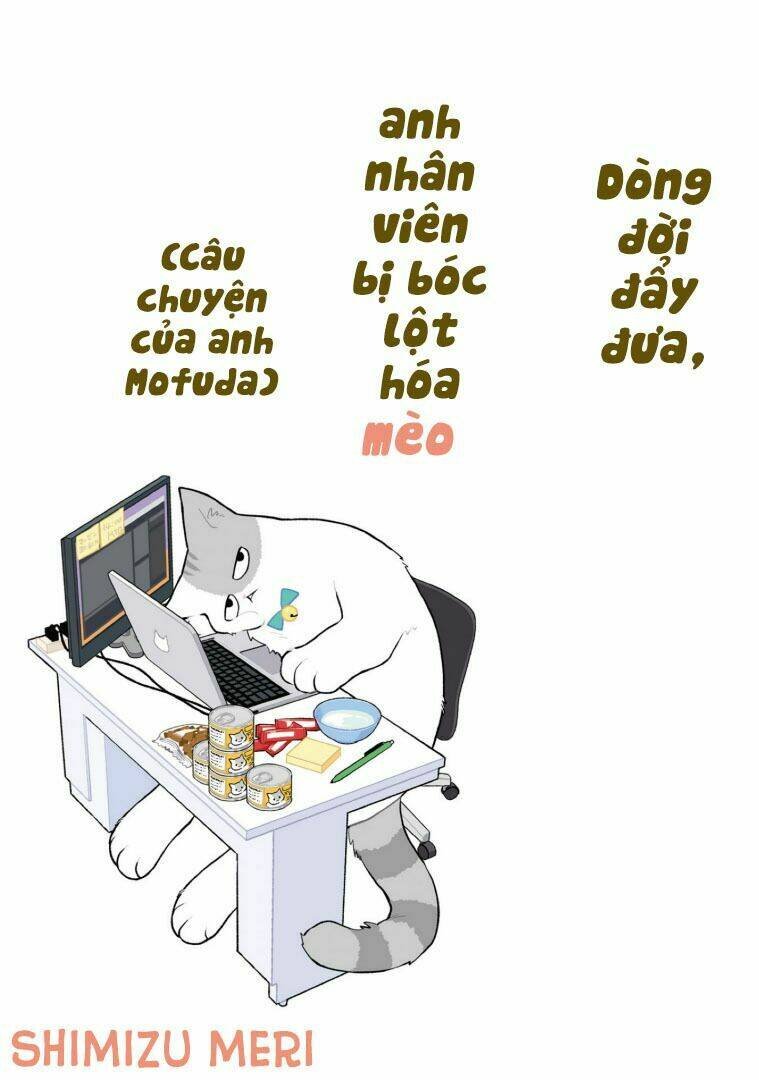 mèo công sở chapter 1 2