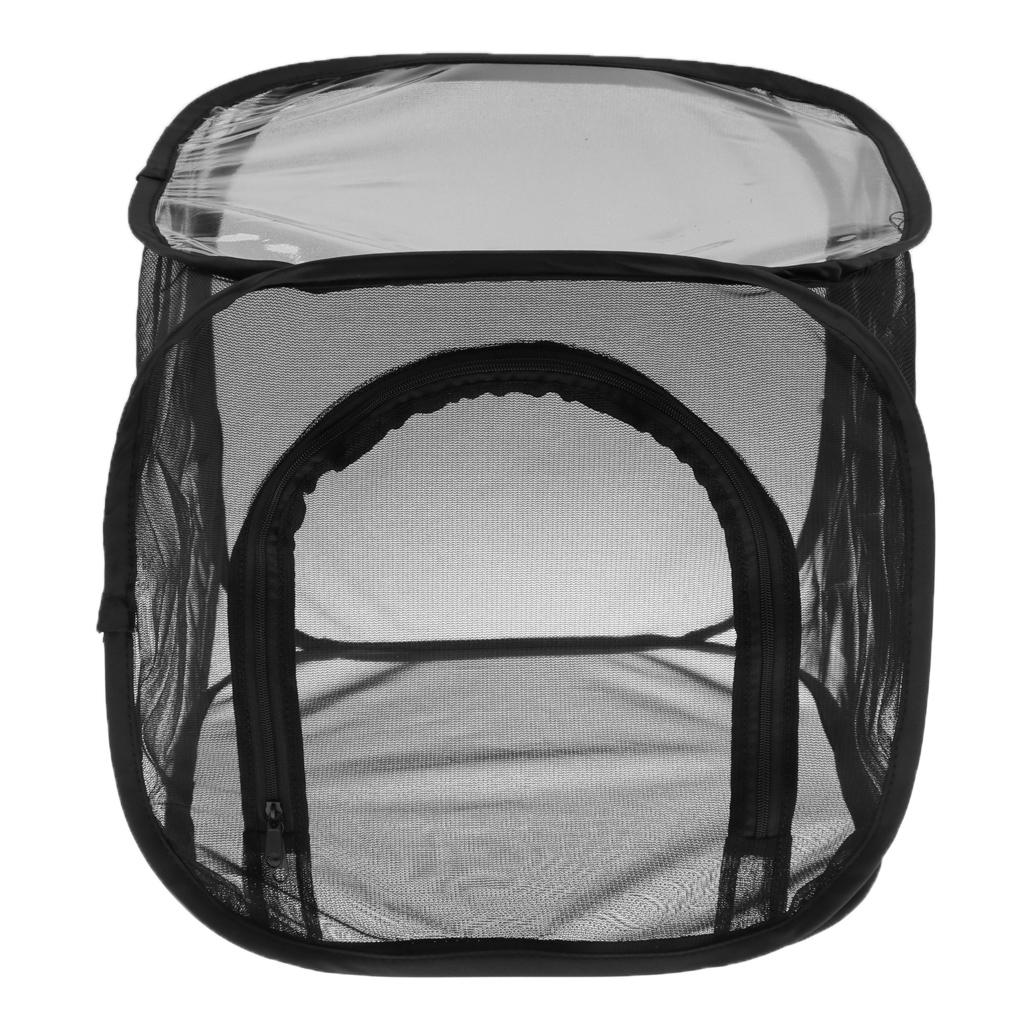 Foldable Insect And Butterfly Habitat Net Terrarium Breeding Cage Black