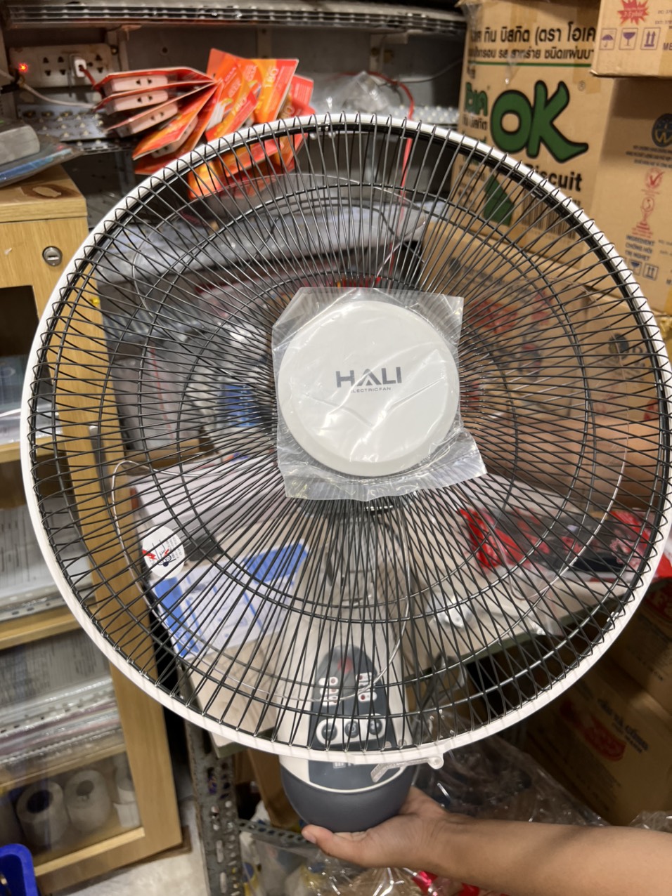 Quạt treo tường Hali (CÓ REMOTE) TR-1 (Hàng chính hãng) - Màu xám