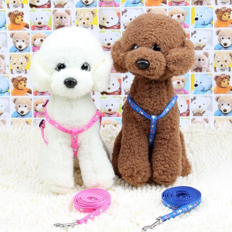 Dây dắt dày 2 lớp cho thú cưng