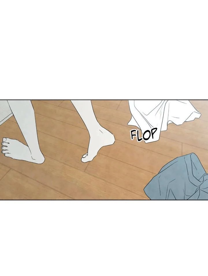 summer solstice point chapter 14 18