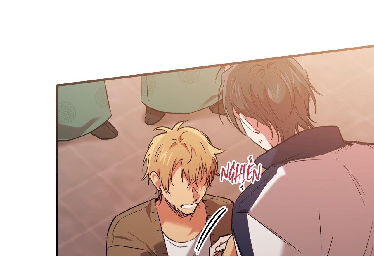 những chú thỏ của hapypy chapter 62 188