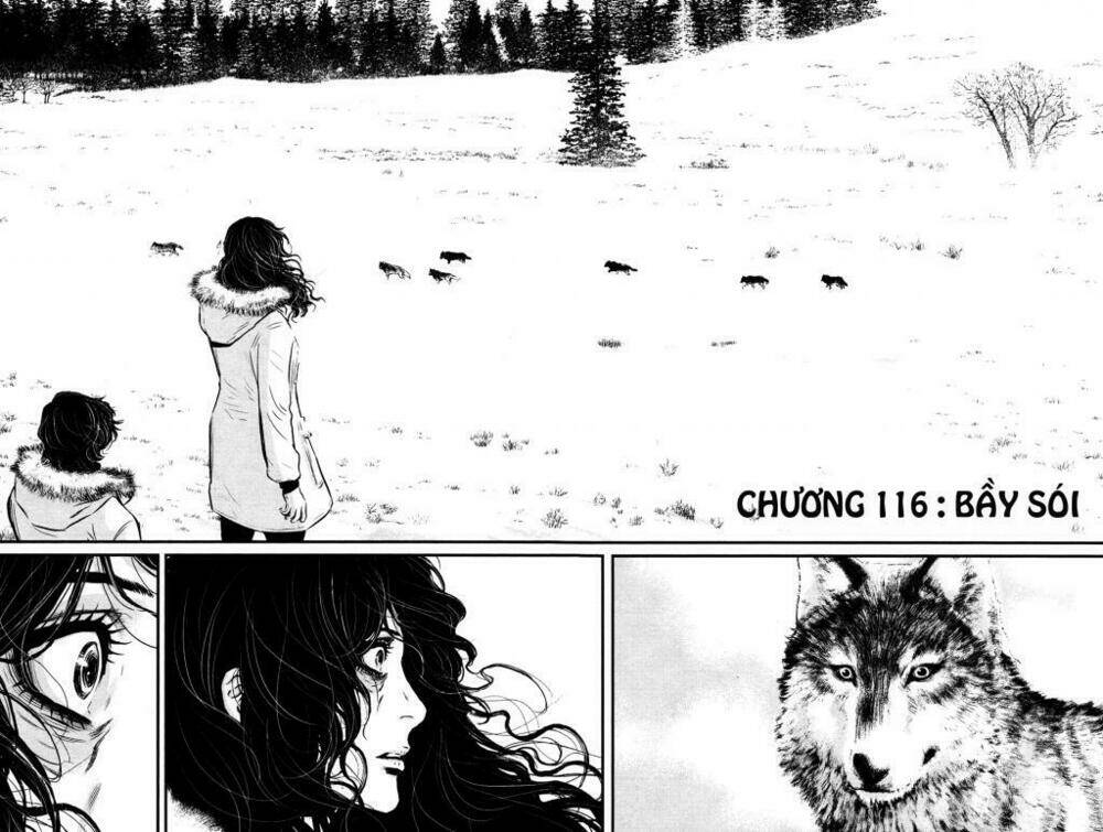 wolf guy - wolfen crest chapter 116 3