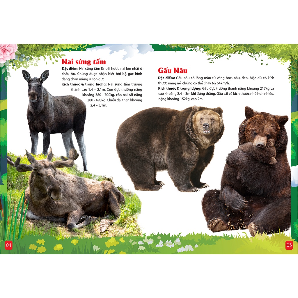 Khám Phá Động Vật 5 Châu Châu Âu -