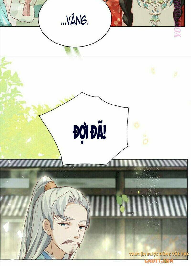 hắc hóa nam chính trực tuyến nuôi thỏ chapter 65 27