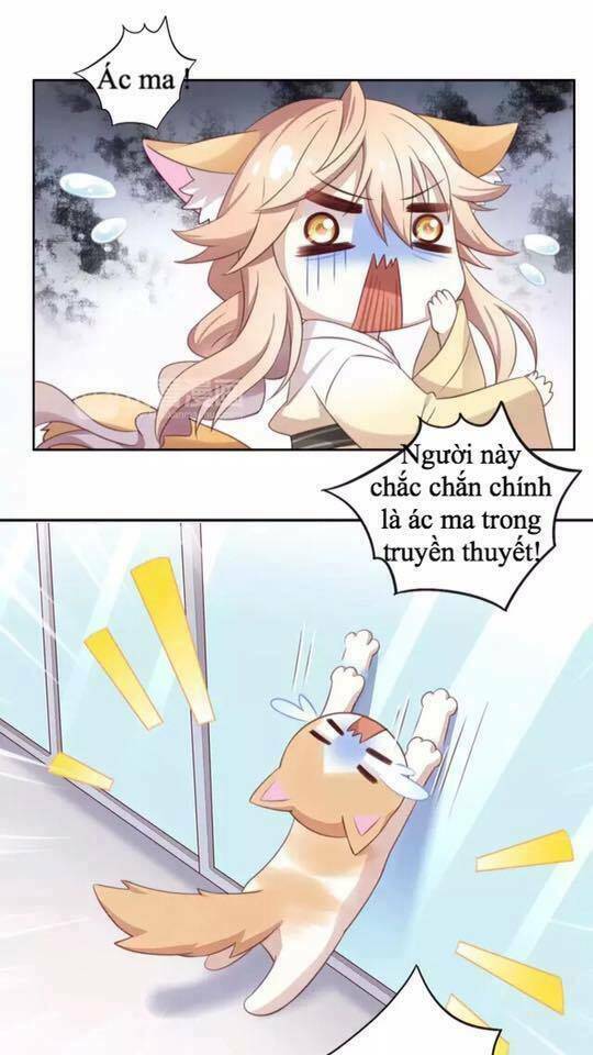 thị hoang chi thần chapter 17 39