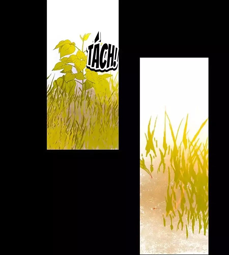 hoa chưa nở rộ chapter 20 23