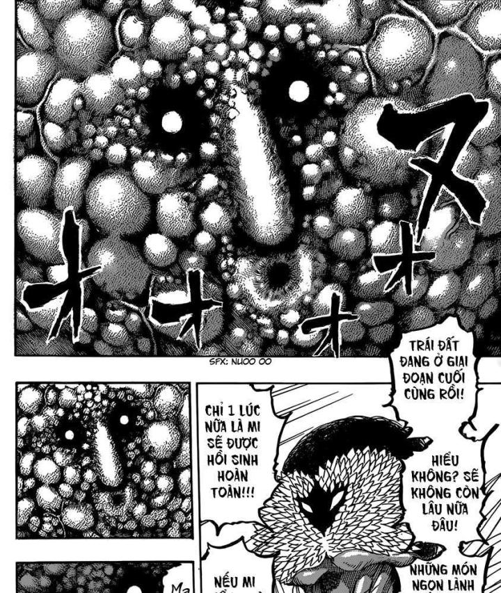 thánh tỏi sành ăn chapter 340 11