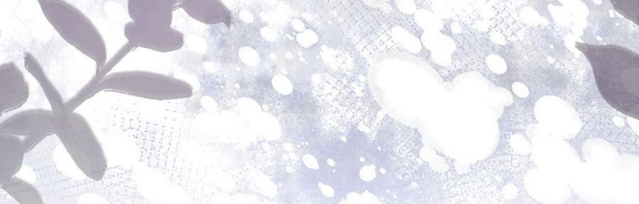 tôi sẽ cố gắng bảo vệ em gái chapter 30.1 265