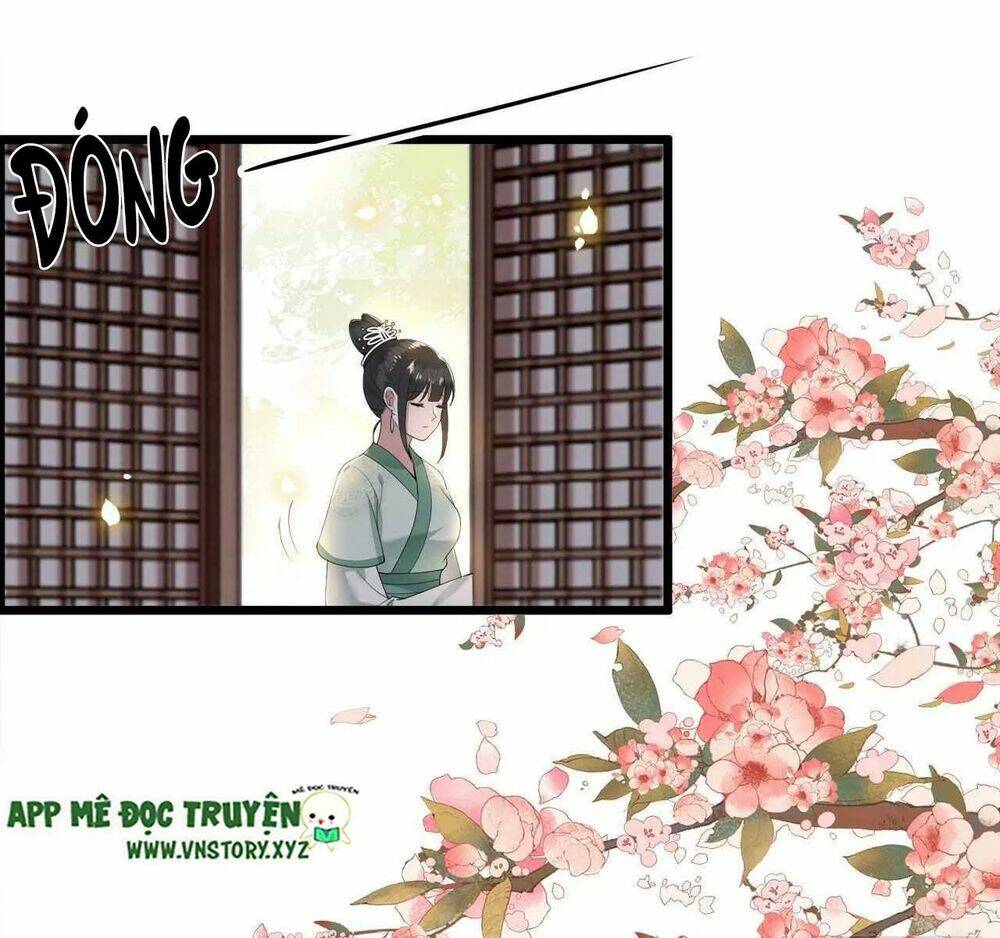 phượng hoàng vu phi chapter 101 13