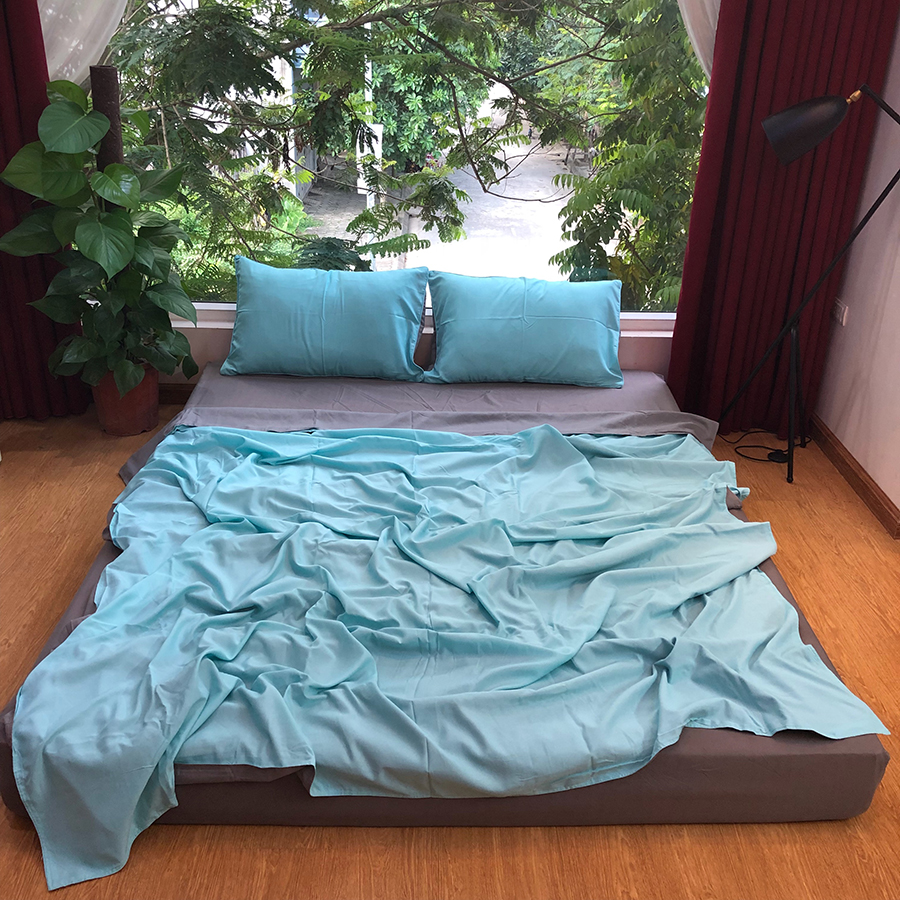 Bộ Chăn Ga Gối Nhập Khẩu Cotton Basic- CB-186
