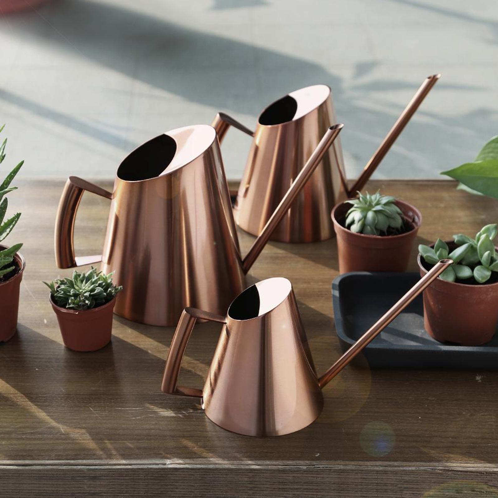 Small Indoor Watering Can for House Plants Stainless Steel Watering Pot with Long Spout