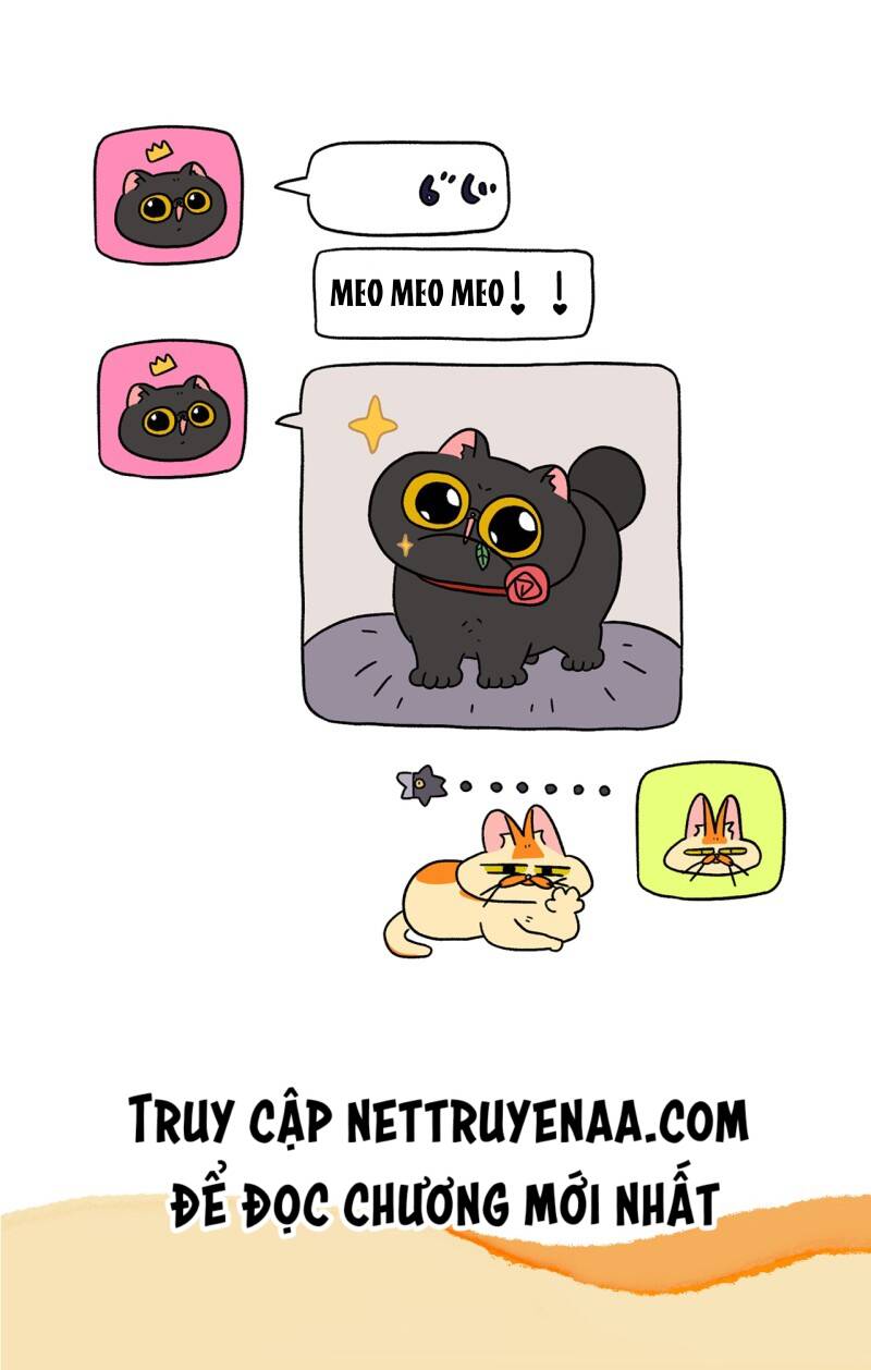 a mãn và mạch trà chapter 19.1 7