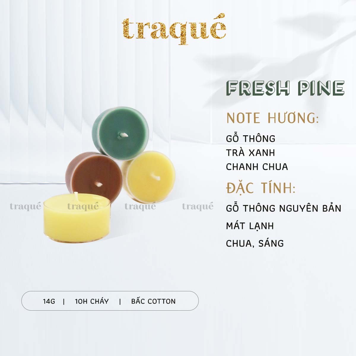 Nến thơm tinh dầu Aurae - dòng Signature - SX tại VN - FRESH PINE