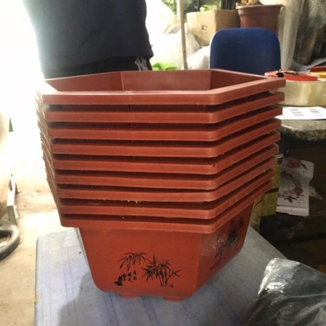 Bộ 10 chậu lục giác trồng cây họa tiết FA320 KT 30x18cm