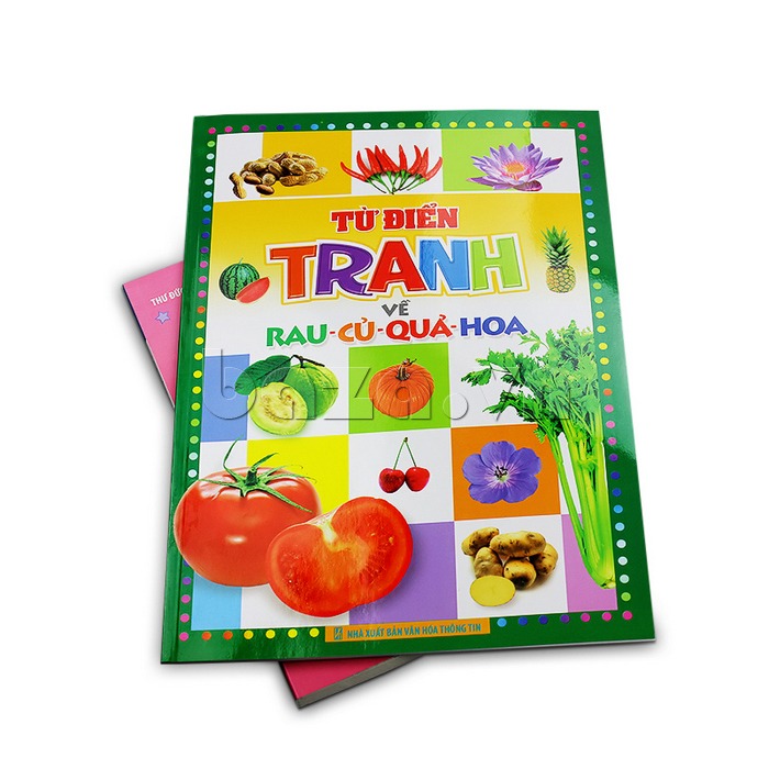Sách: Từ Điển Tranh Về Rau - Củ - Quả - Hoa B55