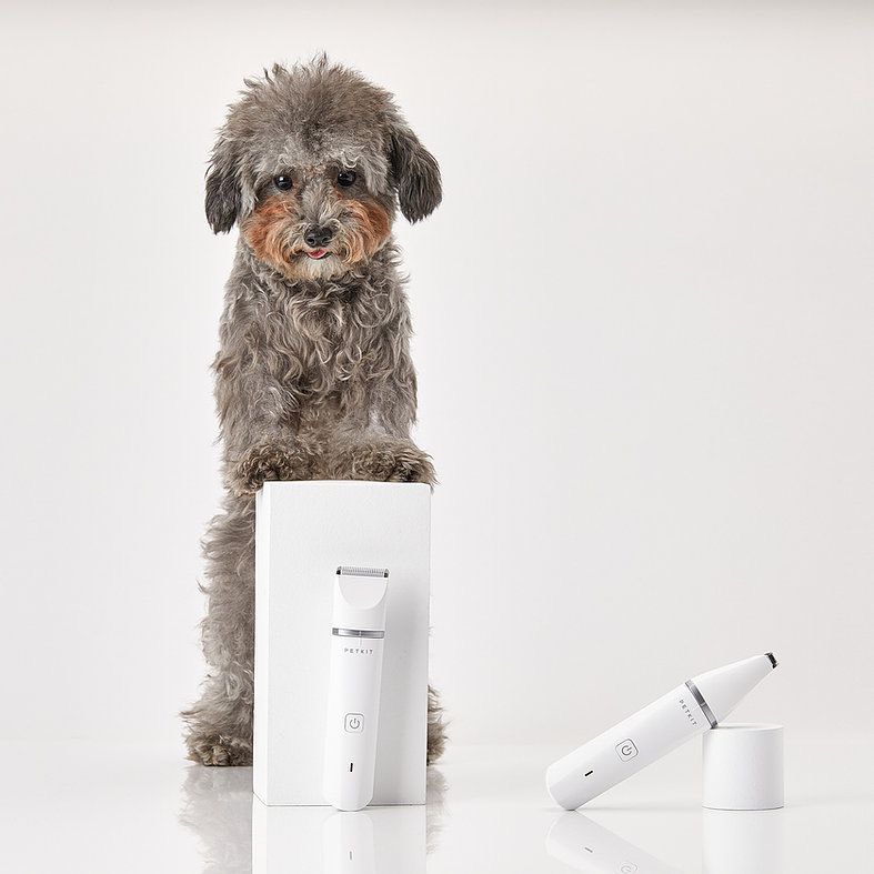 TÔNG ĐƠ ĐA NĂNG PETKIT 2IN1 CHUYÊN DỤNG CẮT TỈA CHO THÚ CƯNG
