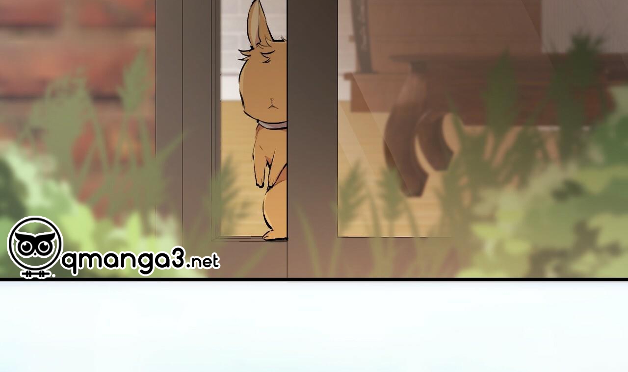 đàn thỏ của habibi chapter 45 204