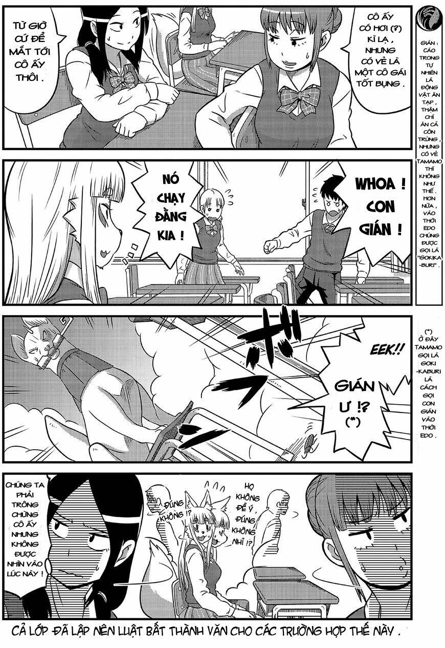 high school inari tamamo-chan ! chapter 2 9