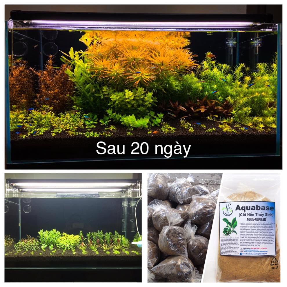 Cốt nền hồ thủy sinh Nuphar Aquabase 1kg