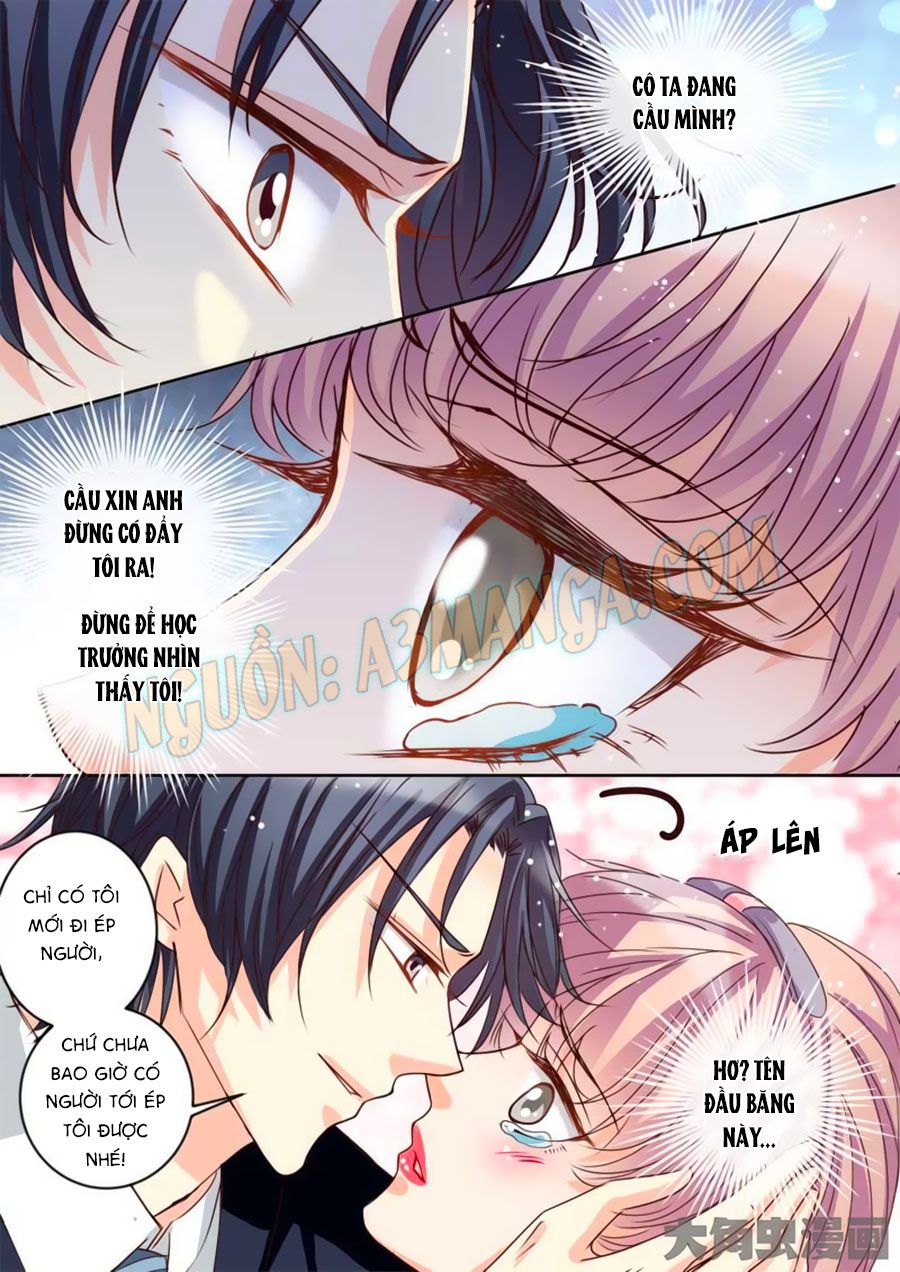 Bá Đạo Tổng Tài Yêu Ta chapter 30 - Trang 5