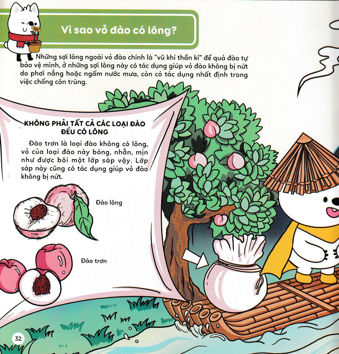 Mười Vạn Câu Hỏi Vì Sao - Thế Giới Thực Vật Diệu Kì