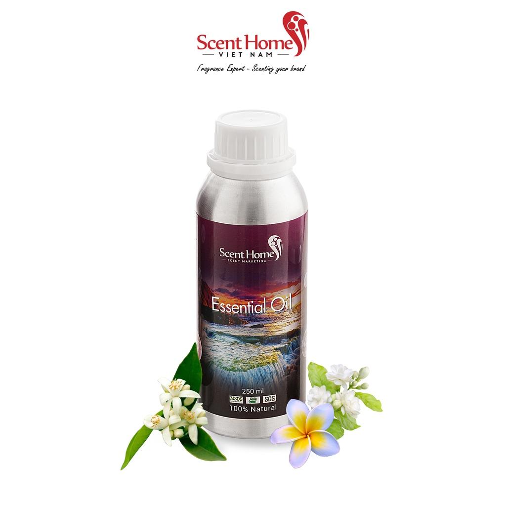 Tinh dầu Scent Homes - mùi hương