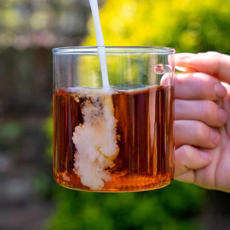 Hồng Trà Rooibos Nam Phi - Hương Xoài