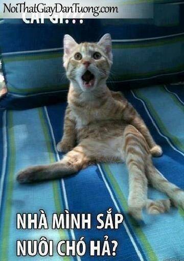 just troll chapter 6 28